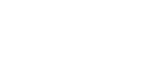 WHITE-ANDESVOLT